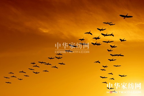 �I(l��ng)����֮���������u(y��)�ͷ���